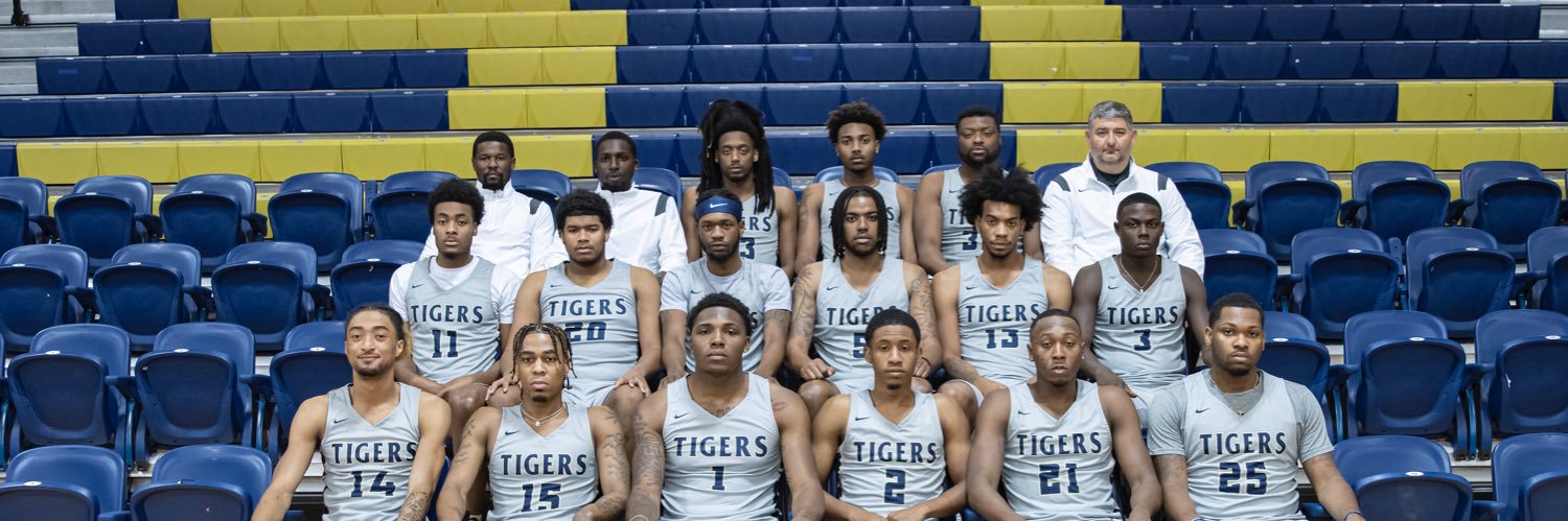 Stillman College Men's Basketball banner