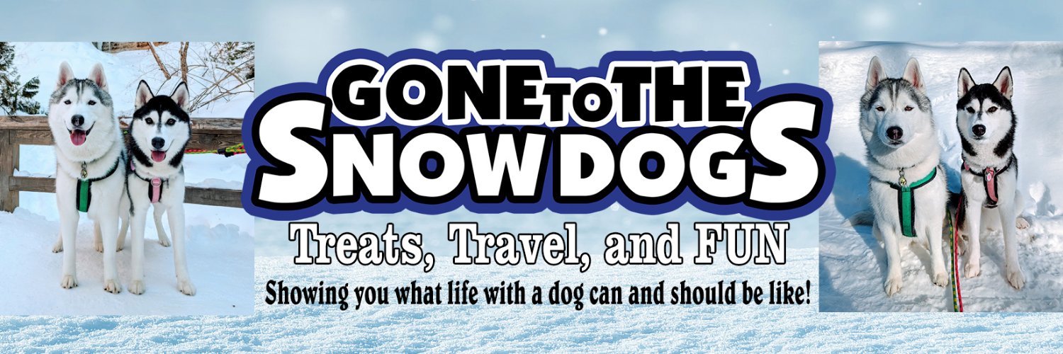 Gone2theSnowDog's profile banner image