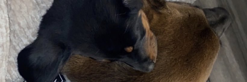 Mem3765's profile banner image
