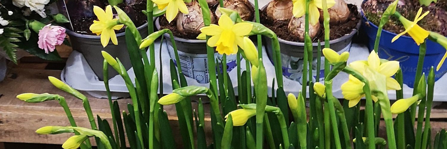 Hereford Butter Market banner