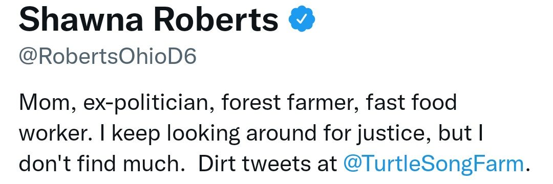 Elon Musk (Parody) banner