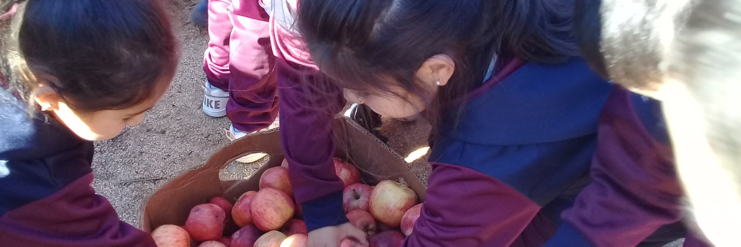 Escuela El Convento banner