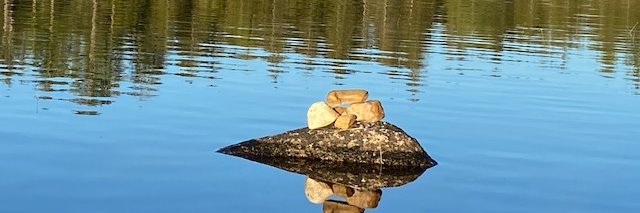 Maine Development Foundation banner