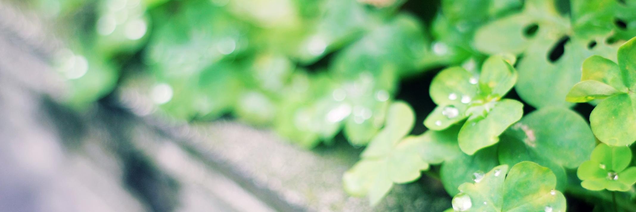 love_etc's profile banner image