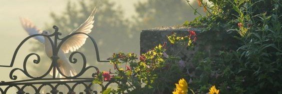 cramoissy's profile banner image