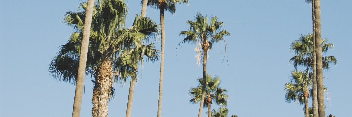 Your Married Boyfriend banner