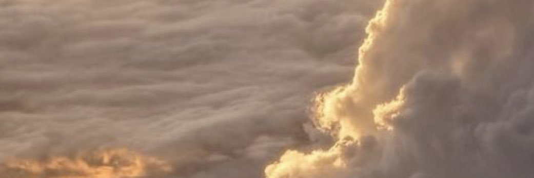 HaleyLloreda's profile banner image