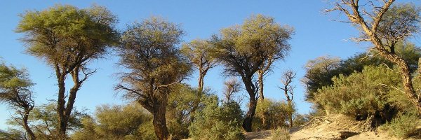 Pablovill2004 Profile Banner