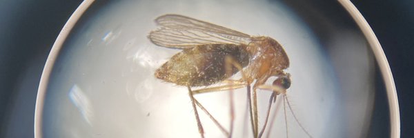 SkeeterCierra Profile Banner