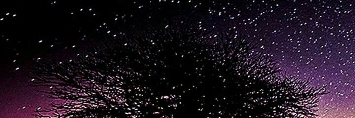 Vitoria banner
