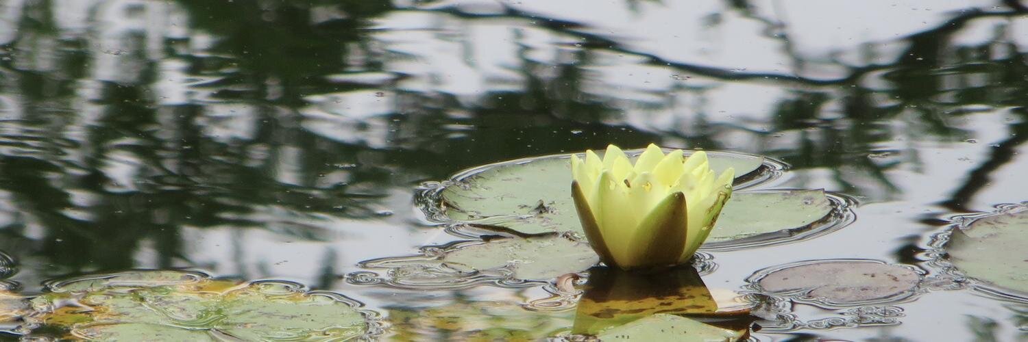 Cheryl Greene banner