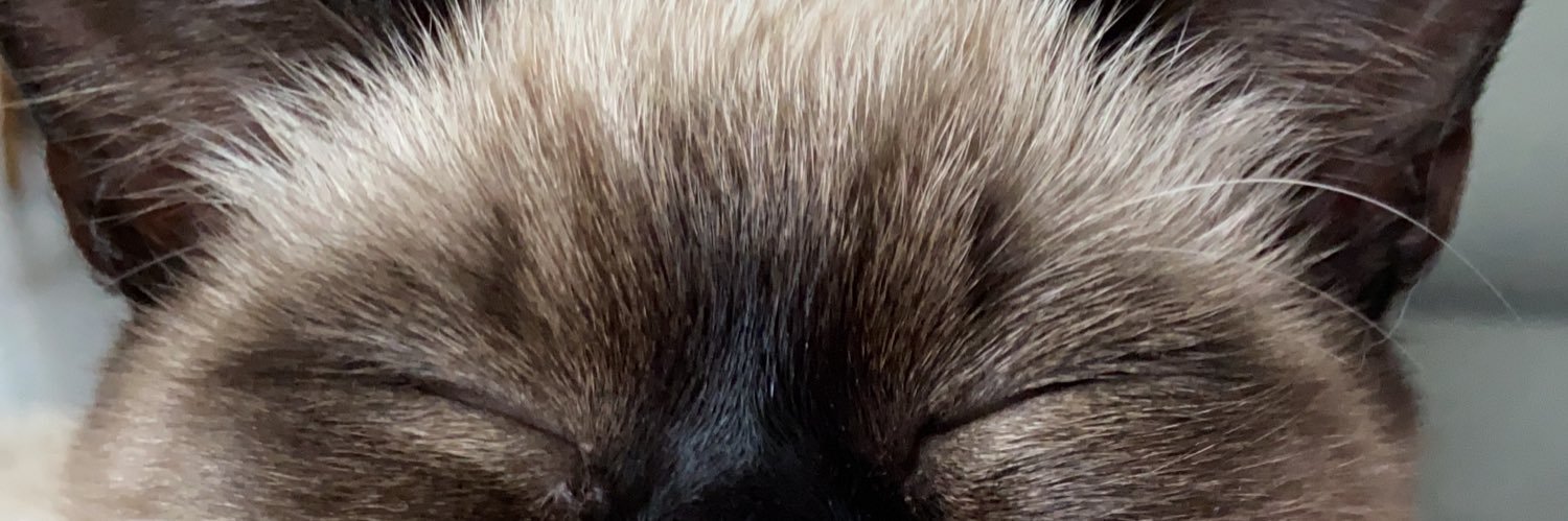 🍉 banner