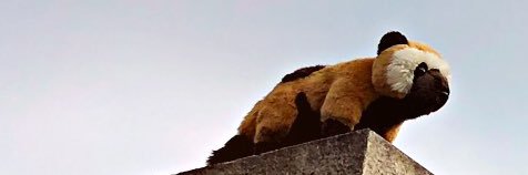 FilVarney's profile banner image