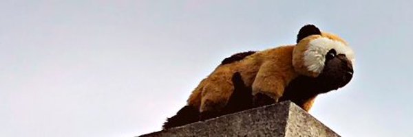 FilVarney Profile Banner