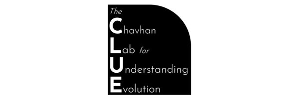yashraj_chavhan Profile Banner