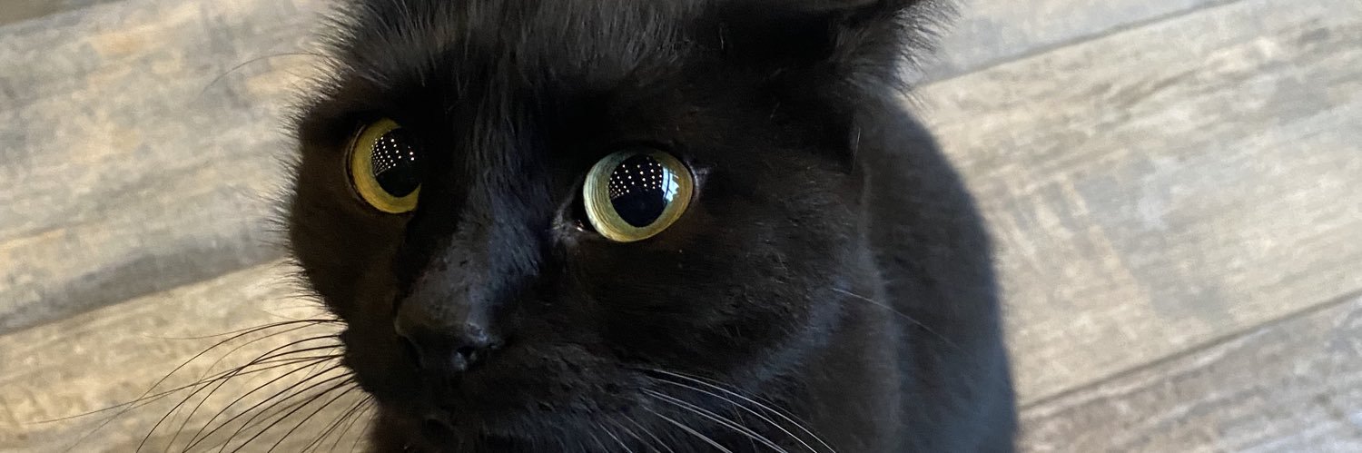 esrmzrk's profile banner image