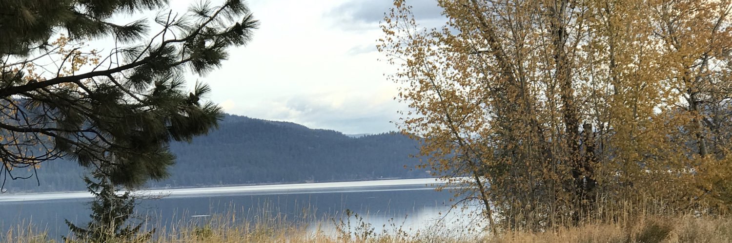 kschotz's profile banner image