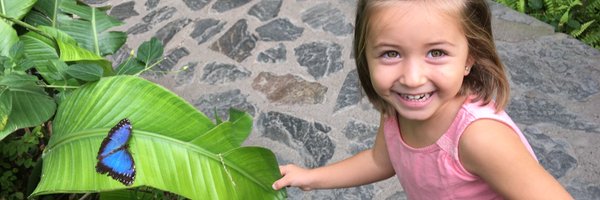 csm_aep Profile Banner