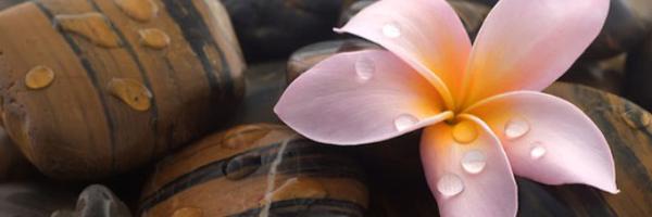 WeAllNeedCash Profile Banner