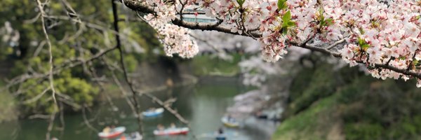 HsiaoMDPhD Profile Banner