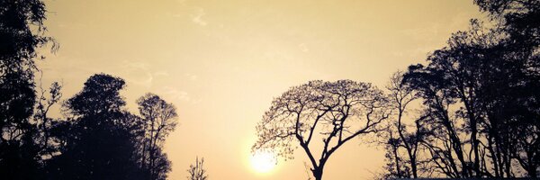 pradeepakumar Profile Banner