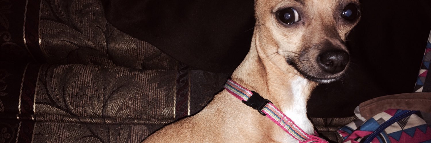 AlePinto_'s profile banner image
