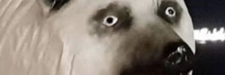 BrendannMcd's profile banner image