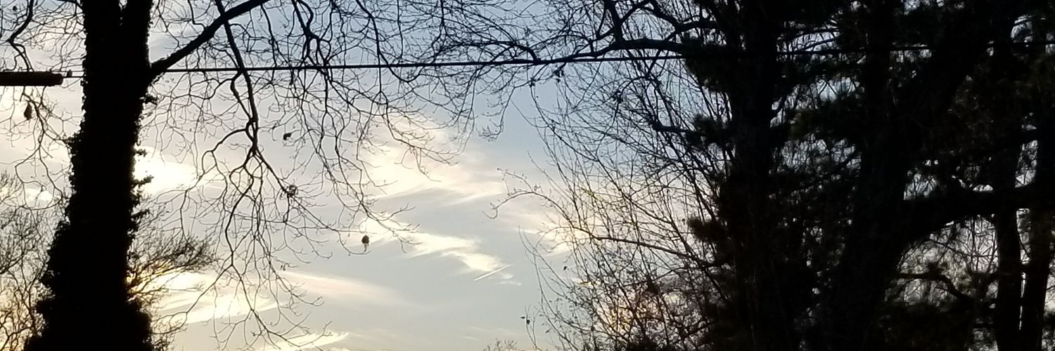 Everlena Oliver banner