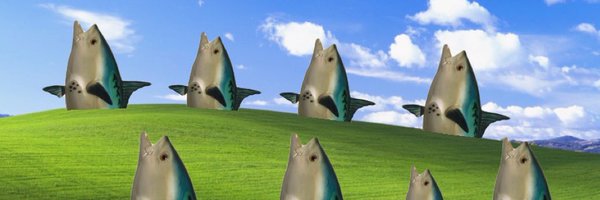 LilaBecause Profile Banner