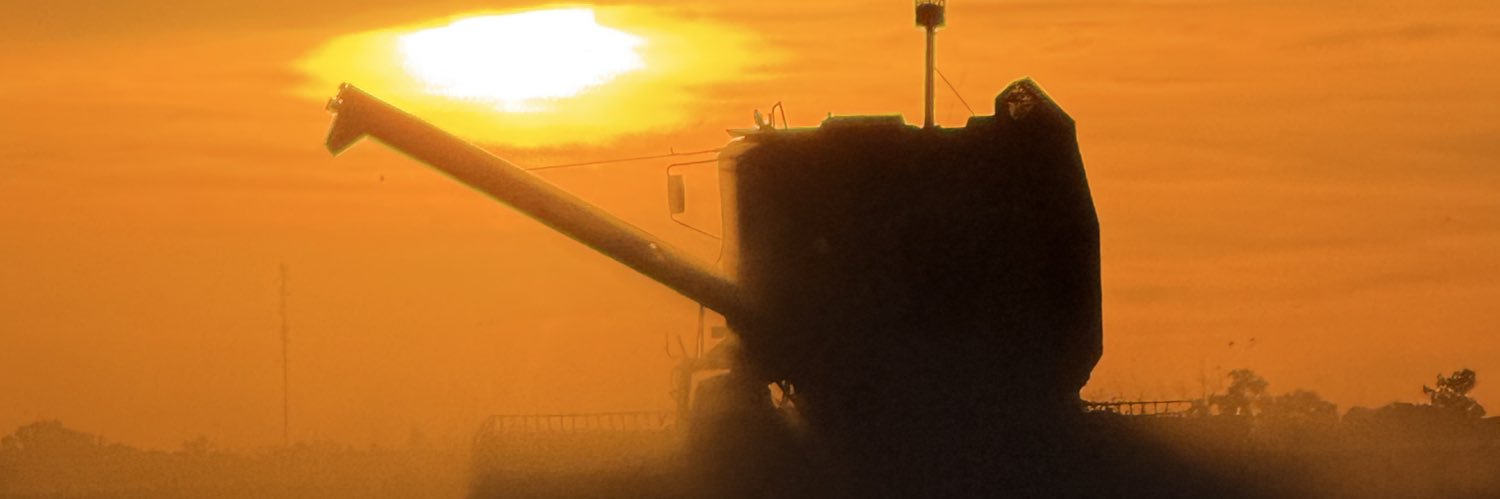 Lauticuria's profile banner image