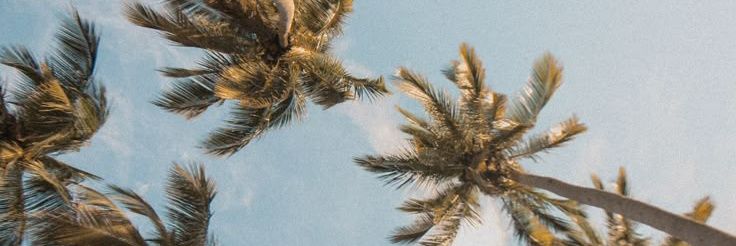 Gooddude435's profile banner image