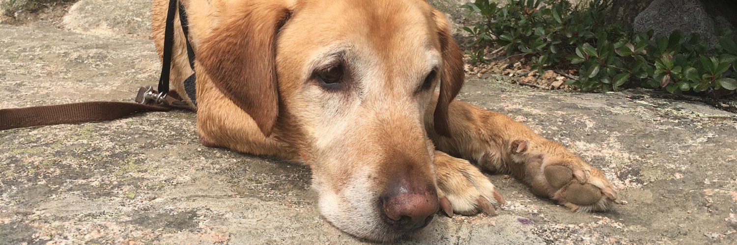 Jason Archbell banner