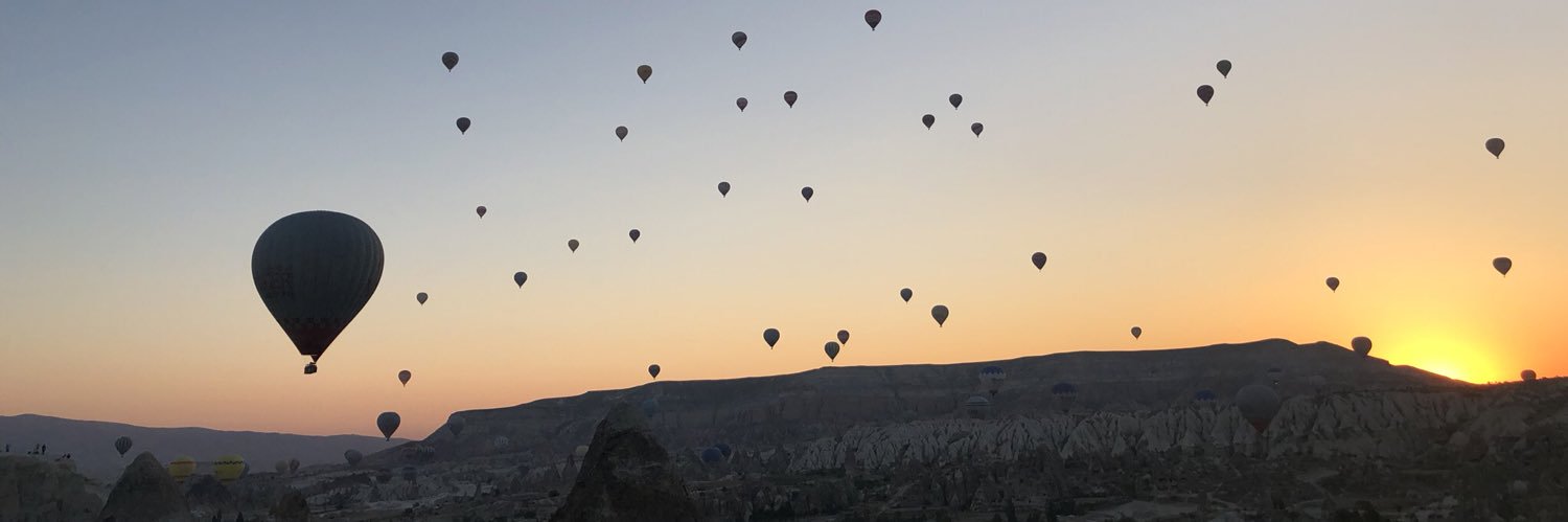 Anand Subramanian banner