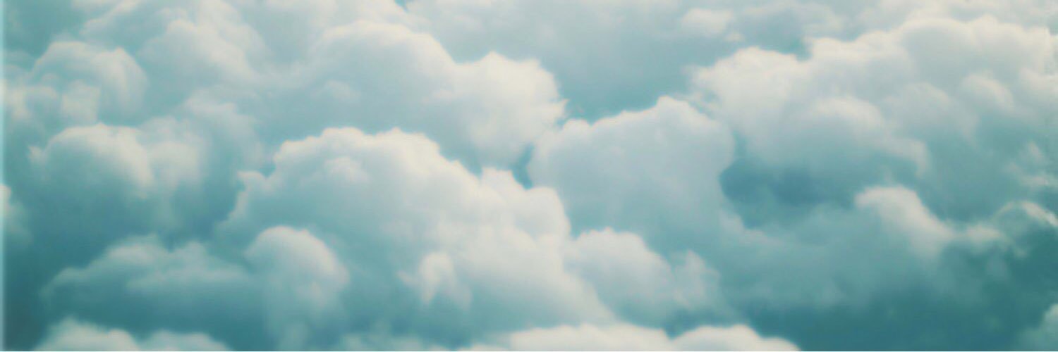 flascapeta's profile banner image