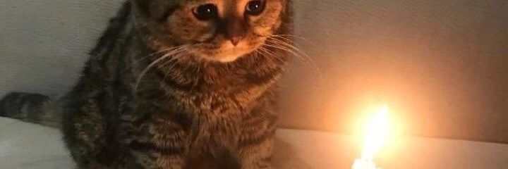 🏳️‍⚧️ PG-13 🏳️‍⚧️ banner