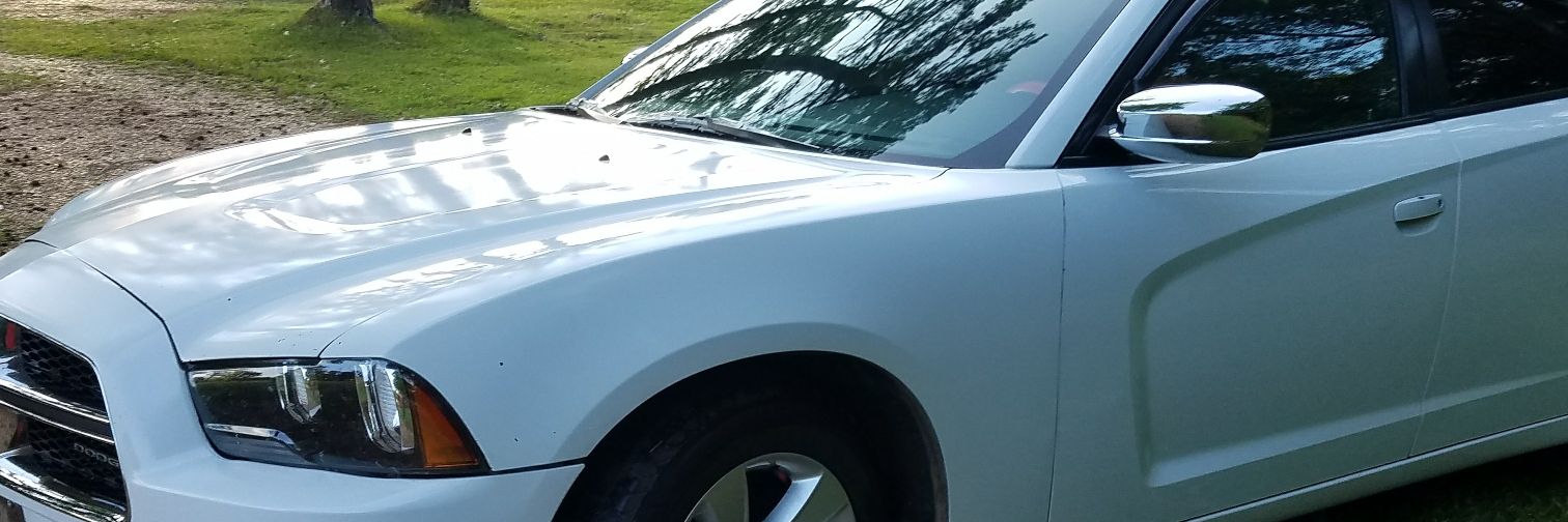 traplifee55's profile banner image