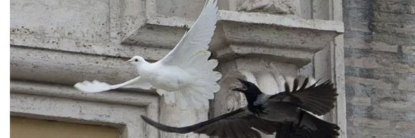 BingRosane Profile Banner