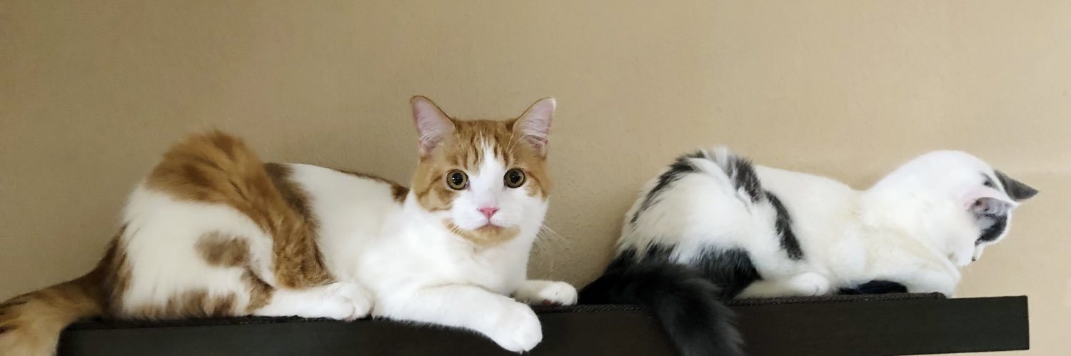 another_alexis_'s profile banner image