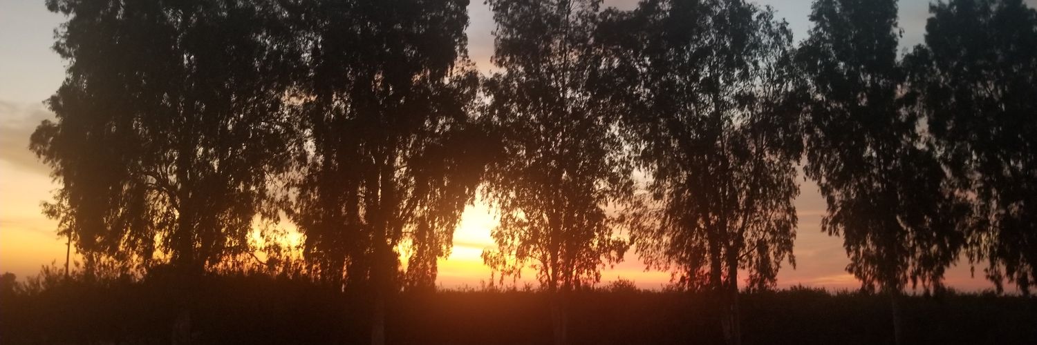 hooahjane's profile banner image