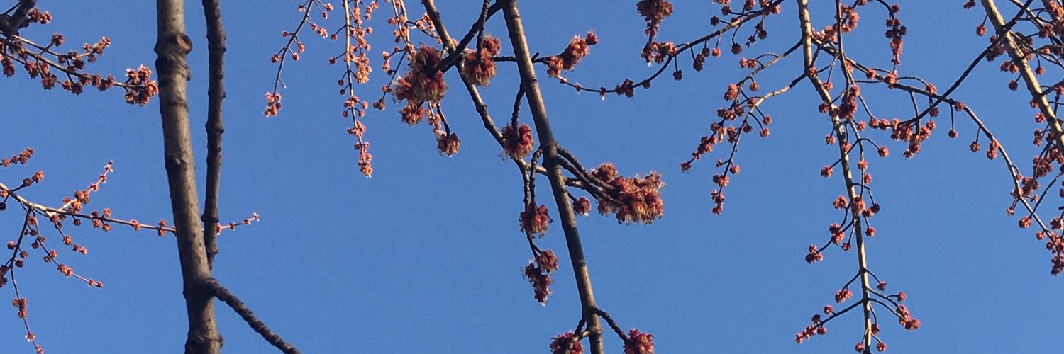 Mariyam Khaja banner