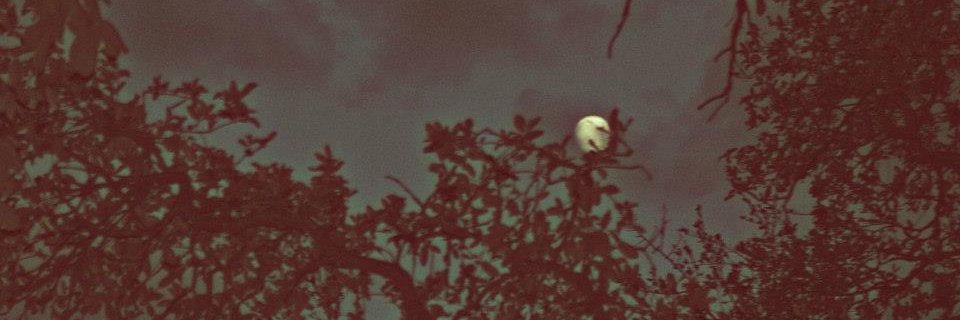 gaunt_fk's profile banner image