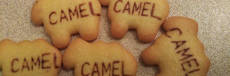 camelmenthol's profile banner image