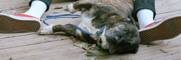 triplefuckingc Profile Banner