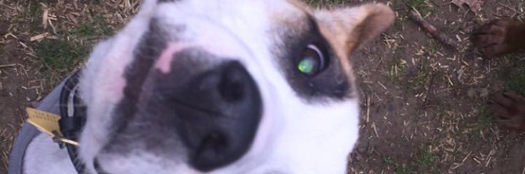 KassMcCarn's profile banner image