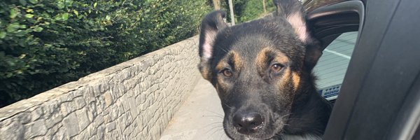 craigpkearney Profile Banner