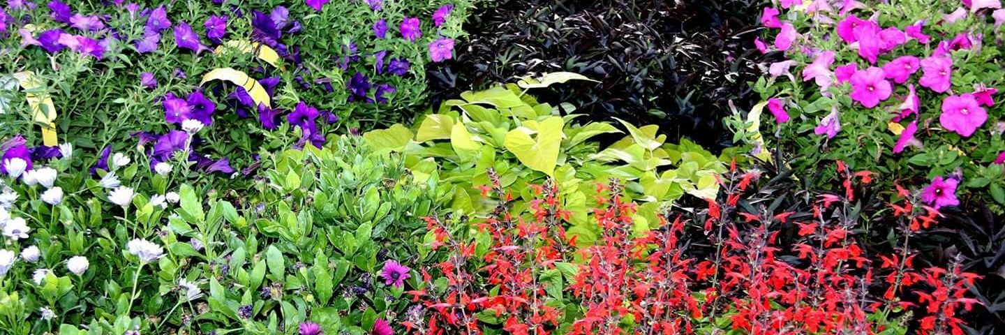 Meridian-Kuna Press banner