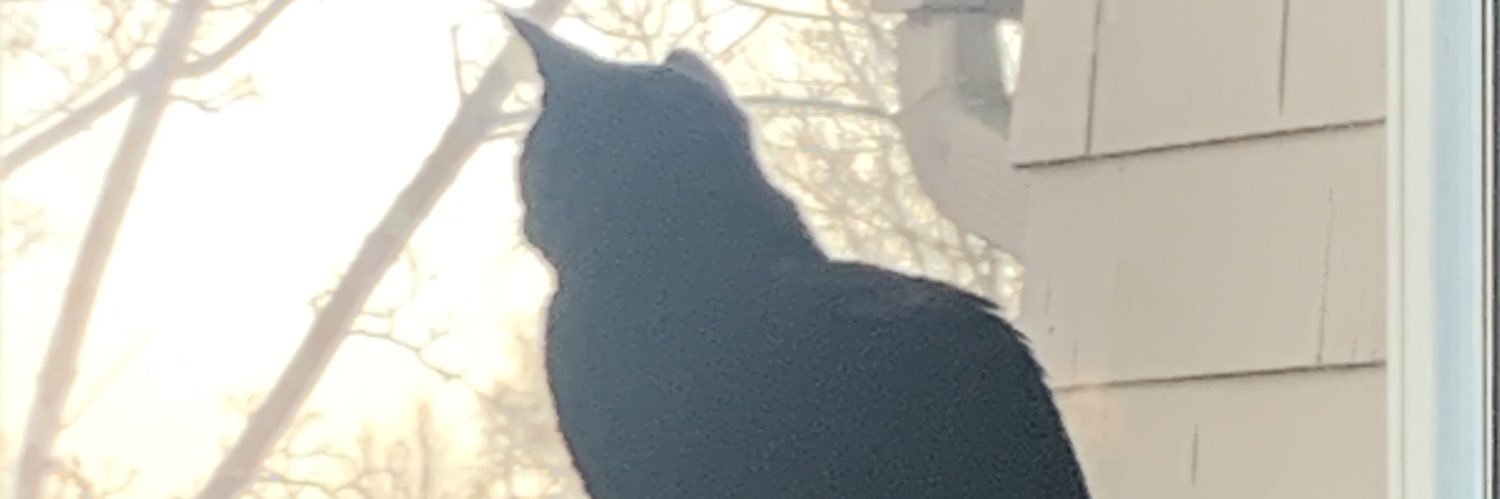 boomemdee's profile banner image