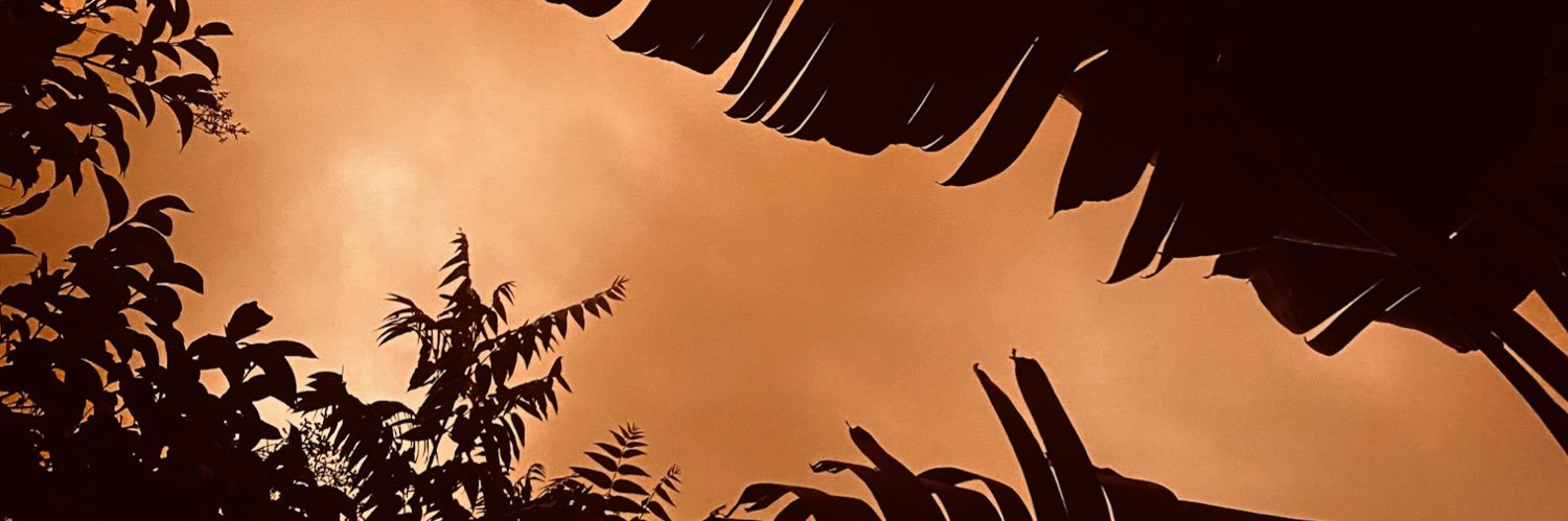 RiccZep's profile banner image