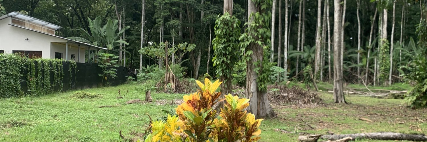 andreaechandi1's profile banner image
