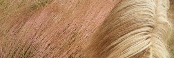 LPaaskoski Profile Banner